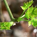 p1110520