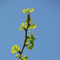 p1110648