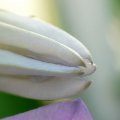 p1140120