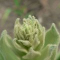 p1140834