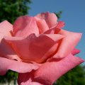 p1150314
