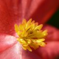 p1150334