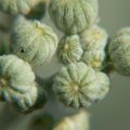 p1150359