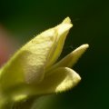 p1150785