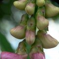 p1160229