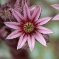 p1160282