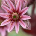 p1160289