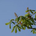 dsc02625