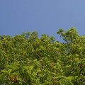 dsc02632