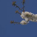 dsc02634