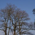 dsc02680
