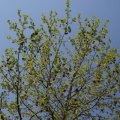 dsc03057