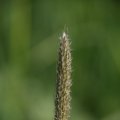 dsc03393