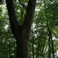 dsc05320