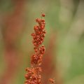 dsc06450