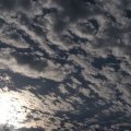 dsc07923