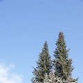 dsc08768