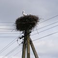 dsc03421