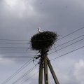 dsc03426