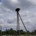 dsc03427