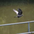 dsc03561