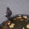 dsc03800