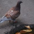 dsc03802