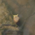dsc04289