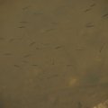 dsc04297