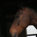 dsc05411