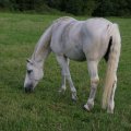 dsc06391