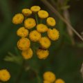 dsc06449