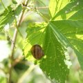 dsc06640
