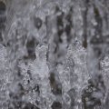 dsc03174