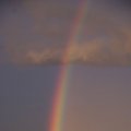 dsc03322