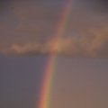 dsc03325