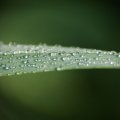 dsc03403