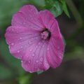dsc03732