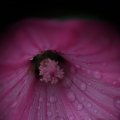 dsc03734