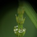 dsc03775