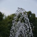 dsc03811