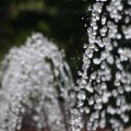dsc03812
