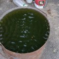 dsc03908
