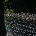 dsc07946