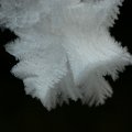 p1240138