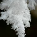 p1240139