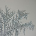 p1240261
