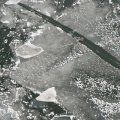 p1240369