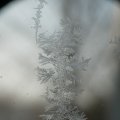 p1240401