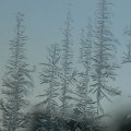 p1240424
